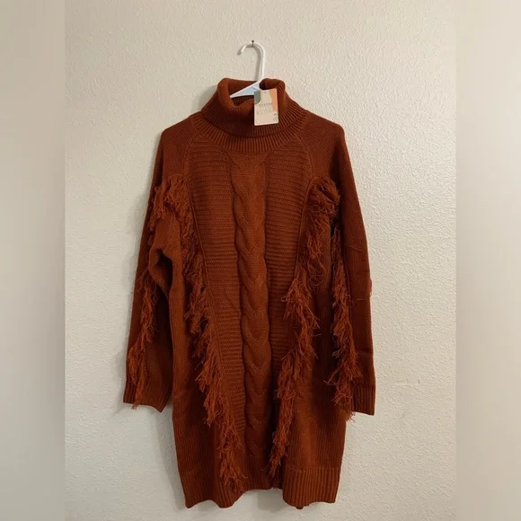 NWT Chunky Knit Turtle Neck fringe Sweater Dress - Picture 5 of 8